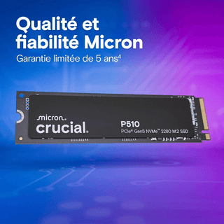 Lot de 2 Crucial P510 1 To